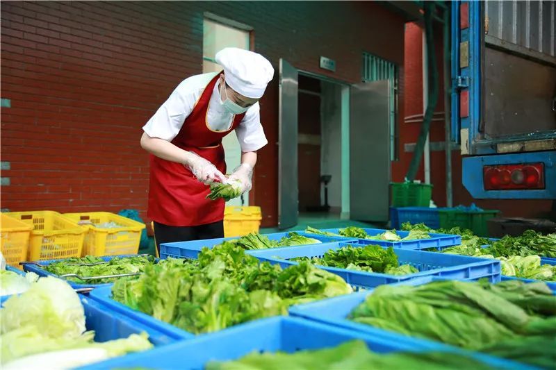 观点丨团餐产品管理之浅谈大锅菜的烹制技巧
